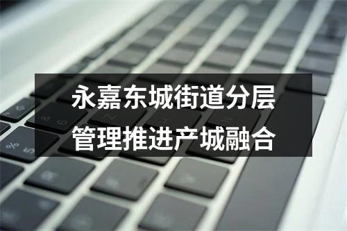 永嘉东城街道分层管理推进产城融合