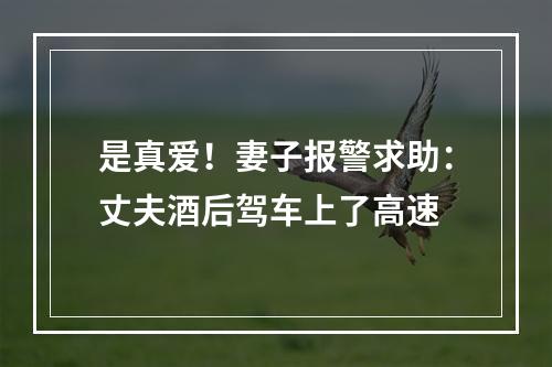 是真爱！妻子报警求助：丈夫酒后驾车上了高速