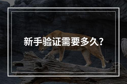 新手验证需要多久？