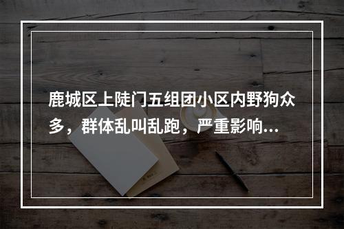 鹿城区上陡门五组团小区内野狗众多，群体乱叫乱跑，严重影响生活环境