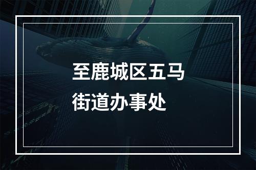 至鹿城区五马街道办事处