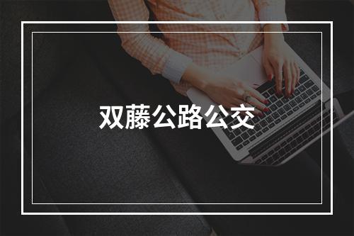 双藤公路公交