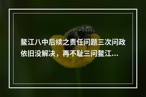 鳌江八中后续之责任问题三次问政依旧没解决，再不耻三问鳌江镇政府部门