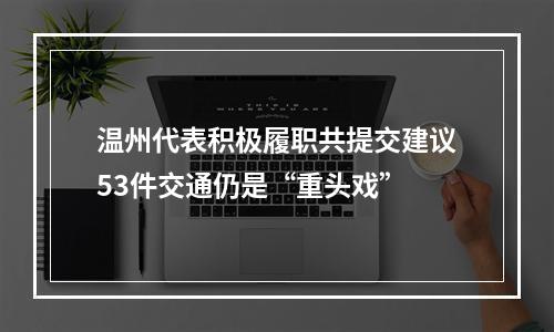 温州代表积极履职共提交建议53件交通仍是“重头戏”