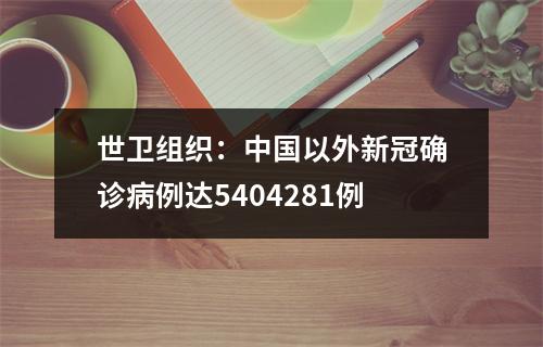 世卫组织：中国以外新冠确诊病例达5404281例