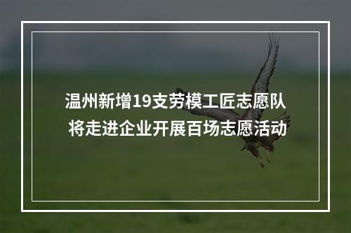 温州新增19支劳模工匠志愿队 将走进企业开展百场志愿活动
