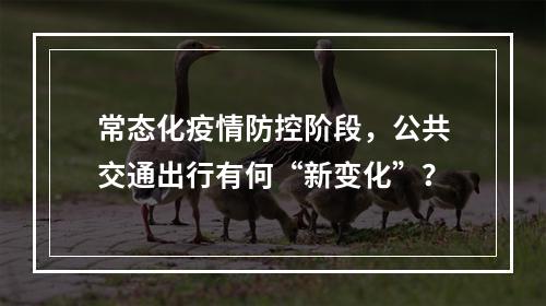 常态化疫情防控阶段，公共交通出行有何“新变化”？