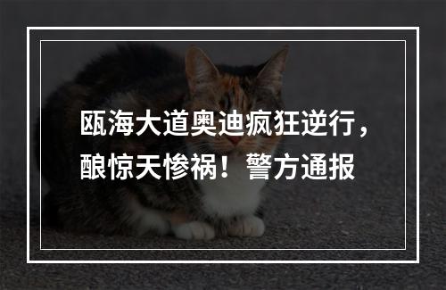 瓯海大道奥迪疯狂逆行，酿惊天惨祸！警方通报