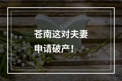 苍南这对夫妻申请破产！