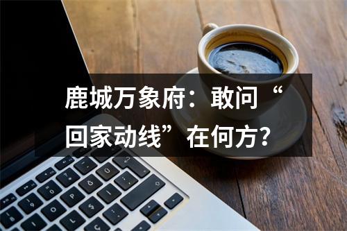 鹿城万象府：敢问“回家动线”在何方？