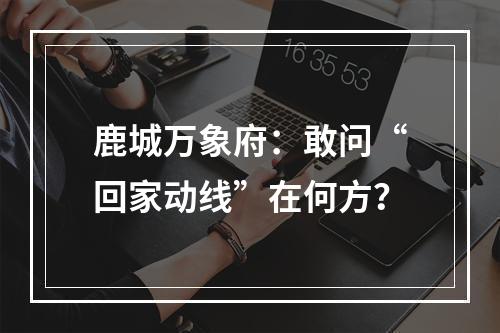 鹿城万象府：敢问“回家动线”在何方？