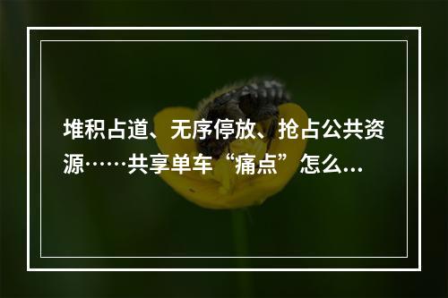 堆积占道、无序停放、抢占公共资源……共享单车“痛点”怎么解？