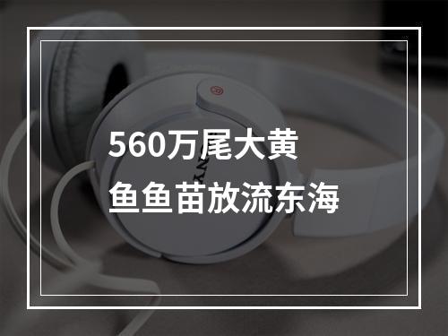 560万尾大黄鱼鱼苗放流东海