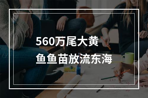 560万尾大黄鱼鱼苗放流东海