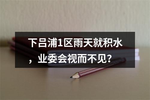 下吕浦1区雨天就积水，业委会视而不见？