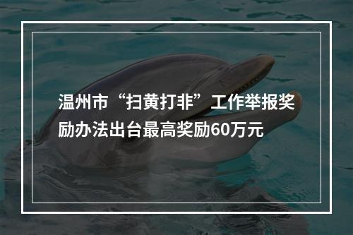 温州市“扫黄打非”工作举报奖励办法出台最高奖励60万元