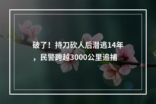 破了！持刀砍人后潜逃14年，民警跨越3000公里追捕