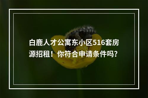 白鹿人才公寓东小区516套房源招租！你符合申请条件吗？