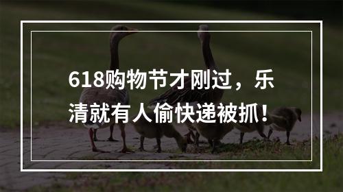 618购物节才刚过，乐清就有人偷快递被抓！