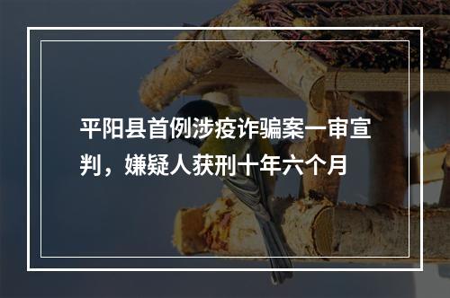 平阳县首例涉疫诈骗案一审宣判，嫌疑人获刑十年六个月