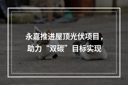 永嘉推进屋顶光伏项目， 助力“双碳”目标实现