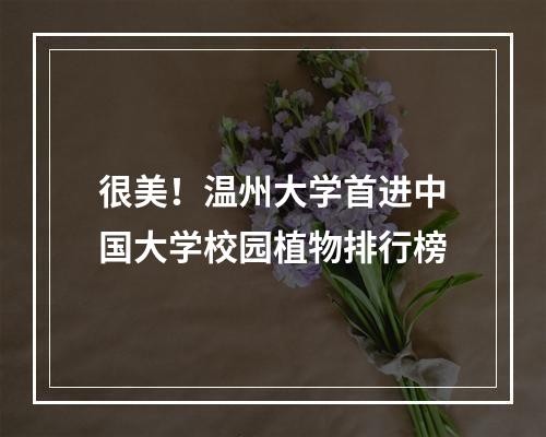 很美！温州大学首进中国大学校园植物排行榜