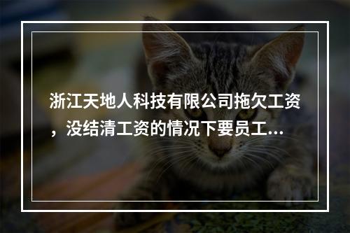 浙江天地人科技有限公司拖欠工资，没结清工资的情况下要员工主动离职