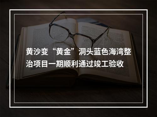 黄沙变“黄金”洞头蓝色海湾整治项目一期顺利通过竣工验收