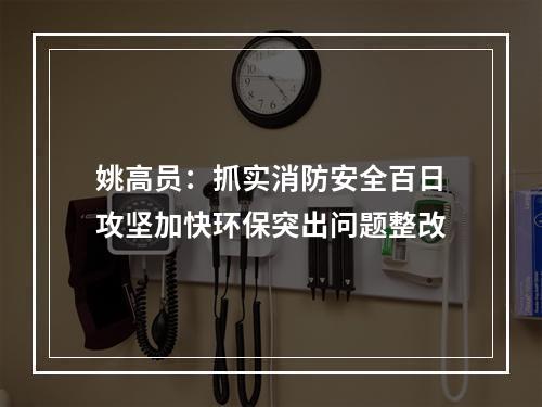 姚高员：抓实消防安全百日攻坚加快环保突出问题整改