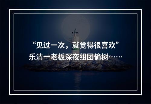 “见过一次，就觉得很喜欢”乐清一老板深夜组团偷树……