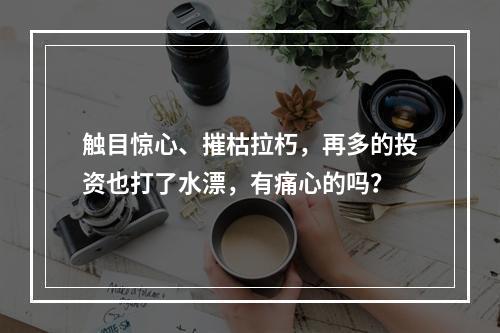 触目惊心、摧枯拉朽，再多的投资也打了水漂，有痛心的吗？