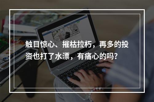 触目惊心、摧枯拉朽，再多的投资也打了水漂，有痛心的吗？