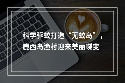 科学驱蚊打造“无蚊岛”，鹿西岛渔村迎来美丽蝶变