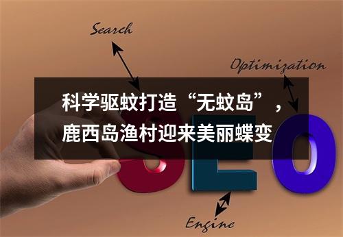 科学驱蚊打造“无蚊岛”，鹿西岛渔村迎来美丽蝶变
