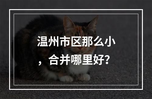 温州市区那么小，合并哪里好？