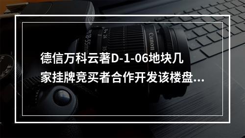 德信万科云著D-1-06地块几家挂牌竞买者合作开发该楼盘，请政府解释合法吗？正常吗？