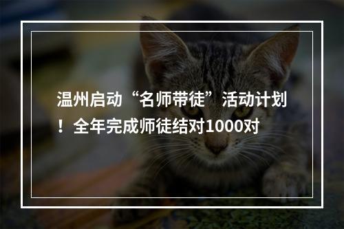 温州启动“名师带徒”活动计划！全年完成师徒结对1000对