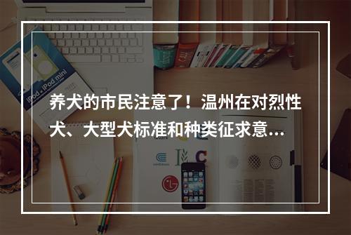 养犬的市民注意了！温州在对烈性犬、大型犬标准和种类征求意见