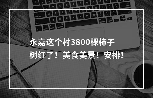 永嘉这个村3800棵柿子树红了！美食美景！安排！