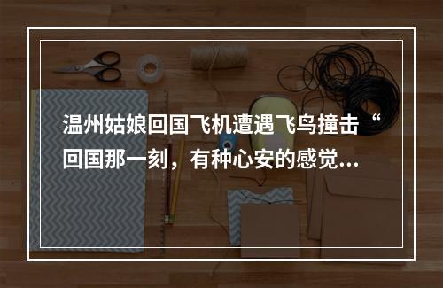 温州姑娘回国飞机遭遇飞鸟撞击“回国那一刻，有种心安的感觉”