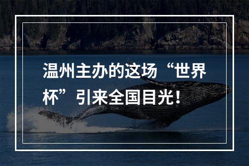 温州主办的这场“世界杯”引来全国目光！