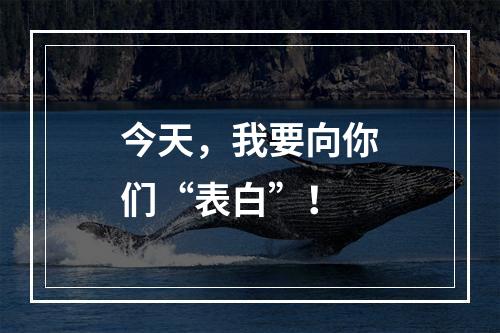 今天，我要向你们“表白”！