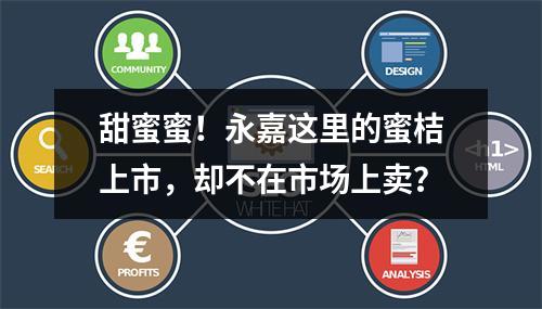 甜蜜蜜！永嘉这里的蜜桔上市，却不在市场上卖？