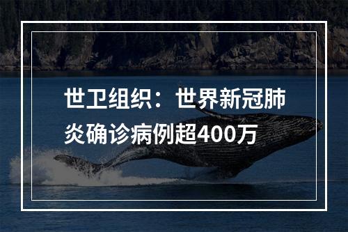 世卫组织：世界新冠肺炎确诊病例超400万