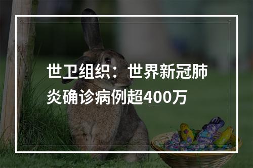 世卫组织：世界新冠肺炎确诊病例超400万