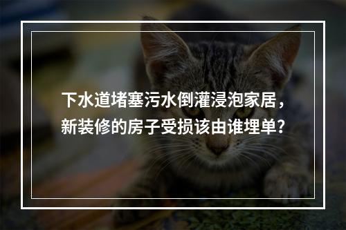 下水道堵塞污水倒灌浸泡家居，新装修的房子受损该由谁埋单？
