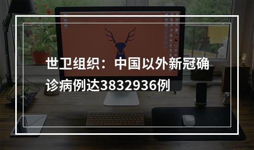 世卫组织：中国以外新冠确诊病例达3832936例