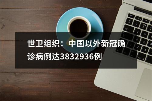 世卫组织：中国以外新冠确诊病例达3832936例
