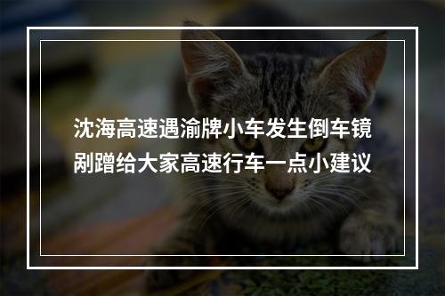 沈海高速遇渝牌小车发生倒车镜剐蹭给大家高速行车一点小建议