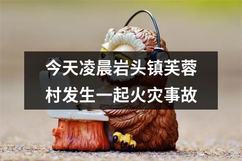 今天凌晨岩头镇芙蓉村发生一起火灾事故